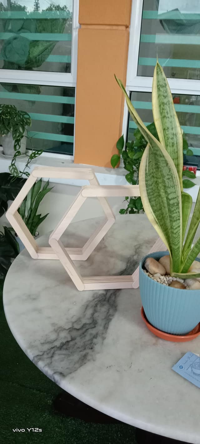 DIY Rak Gantung Hexagon